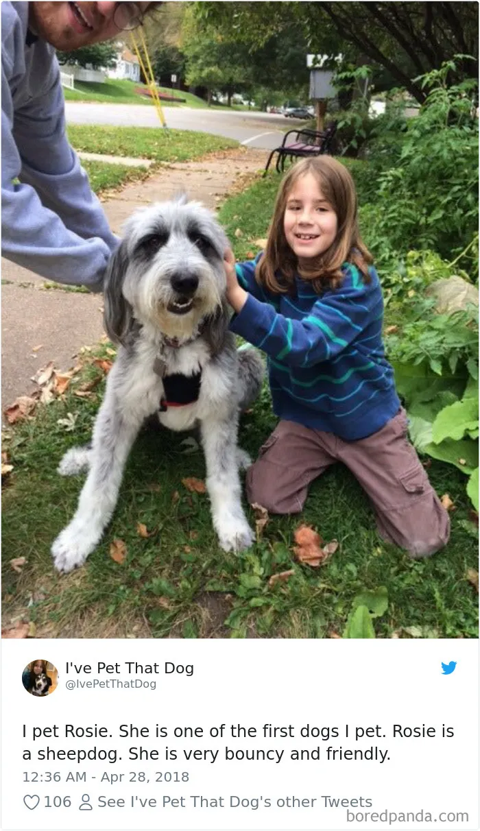 The Internet Is Obsessed With This 9-Year-Old's Twitter Account Where He Reviews All The Dogs That He's Petted