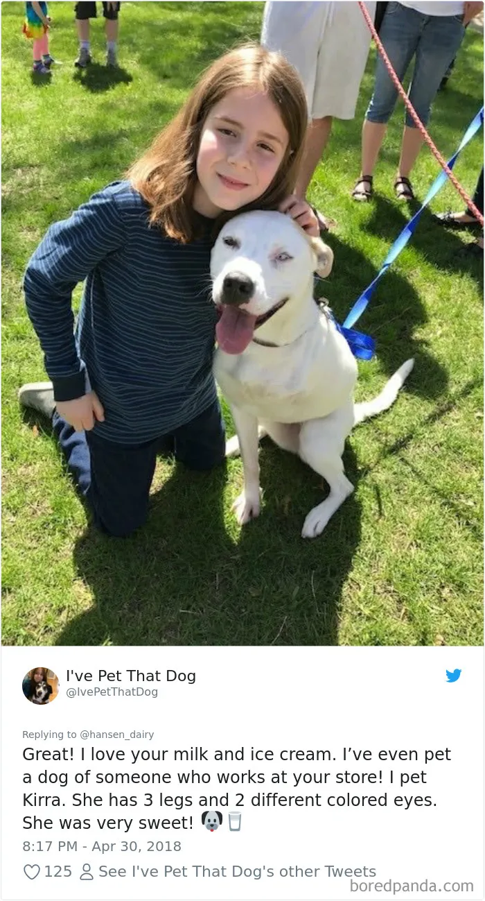 The Internet Is Obsessed With This 9-Year-Old's Twitter Account Where He Reviews All The Dogs That He's Petted
