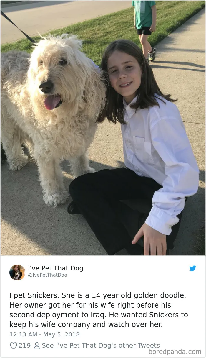 The Internet Is Obsessed With This 9-Year-Old's Twitter Account Where He Reviews All The Dogs That He's Petted