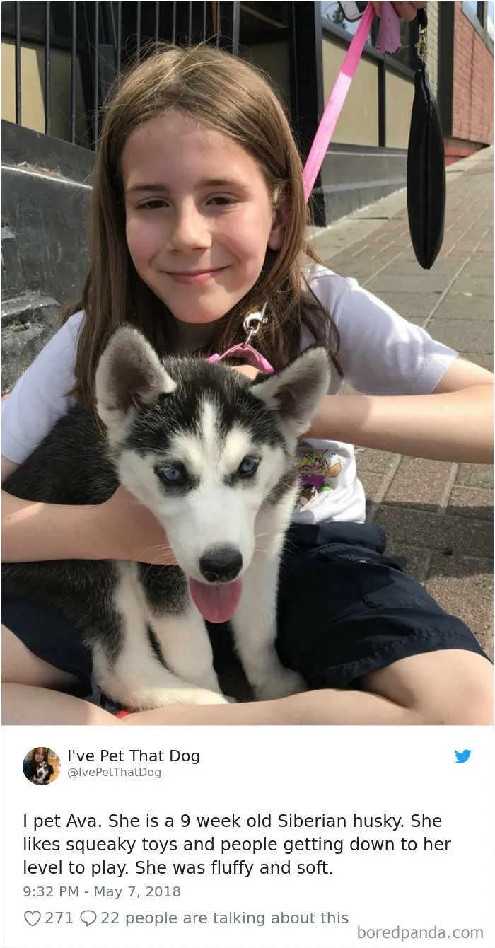 The Internet Is Obsessed With This 9-Year-Old's Twitter Account Where He Reviews All The Dogs That He's Petted