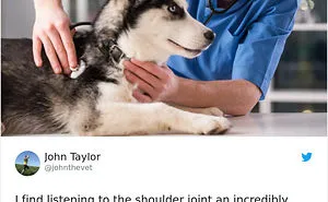 People Are Sharing Hilariously Bad Stock Photos Of Their Jobs, And You’ll Laugh Out Loud When You Find Yours