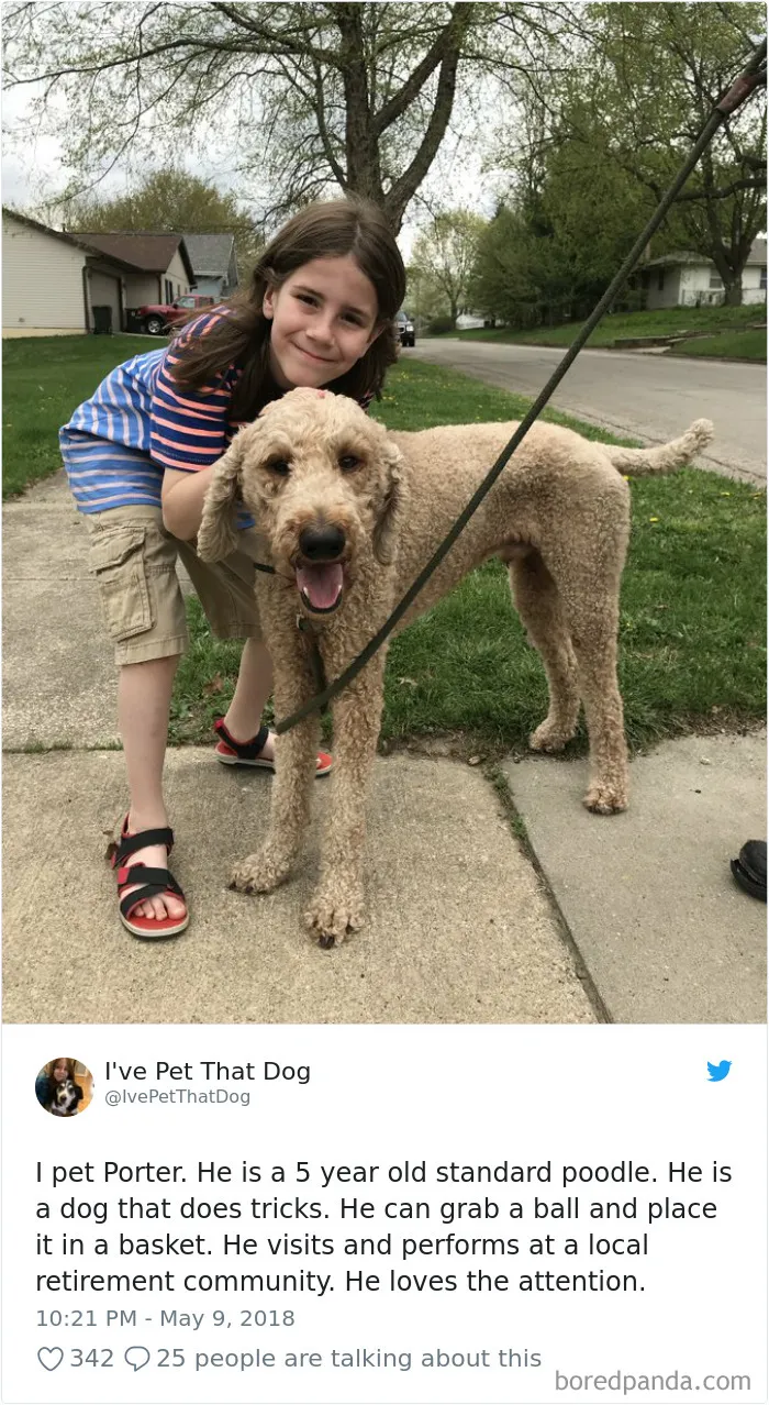 The Internet Is Obsessed With This 9-Year-Old's Twitter Account Where He Reviews All The Dogs That He's Petted