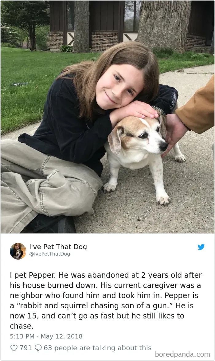 The Internet Is Obsessed With This 9-Year-Old's Twitter Account Where He Reviews All The Dogs That He's Petted