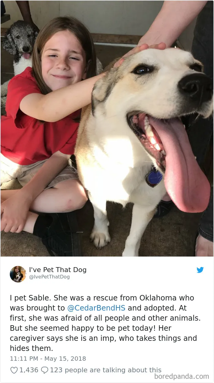 The Internet Is Obsessed With This 9-Year-Old's Twitter Account Where He Reviews All The Dogs That He's Petted