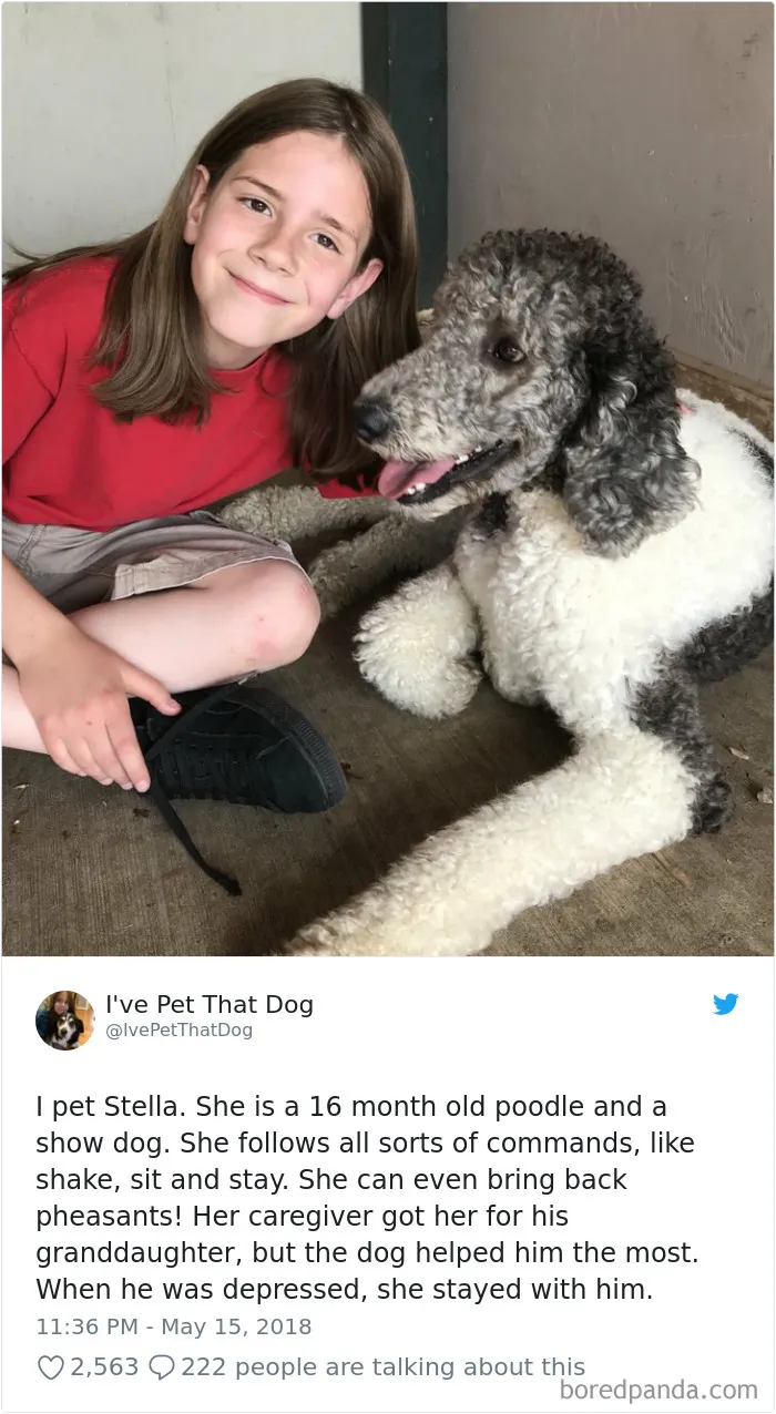 The Internet Is Obsessed With This 9-Year-Old's Twitter Account Where He Reviews All The Dogs That He's Petted