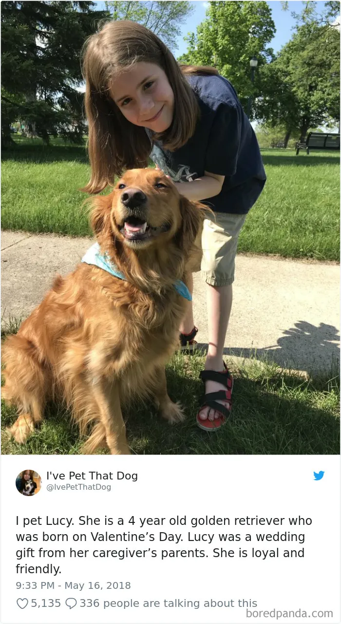 The Internet Is Obsessed With This 9-Year-Old's Twitter Account Where He Reviews All The Dogs That He's Petted