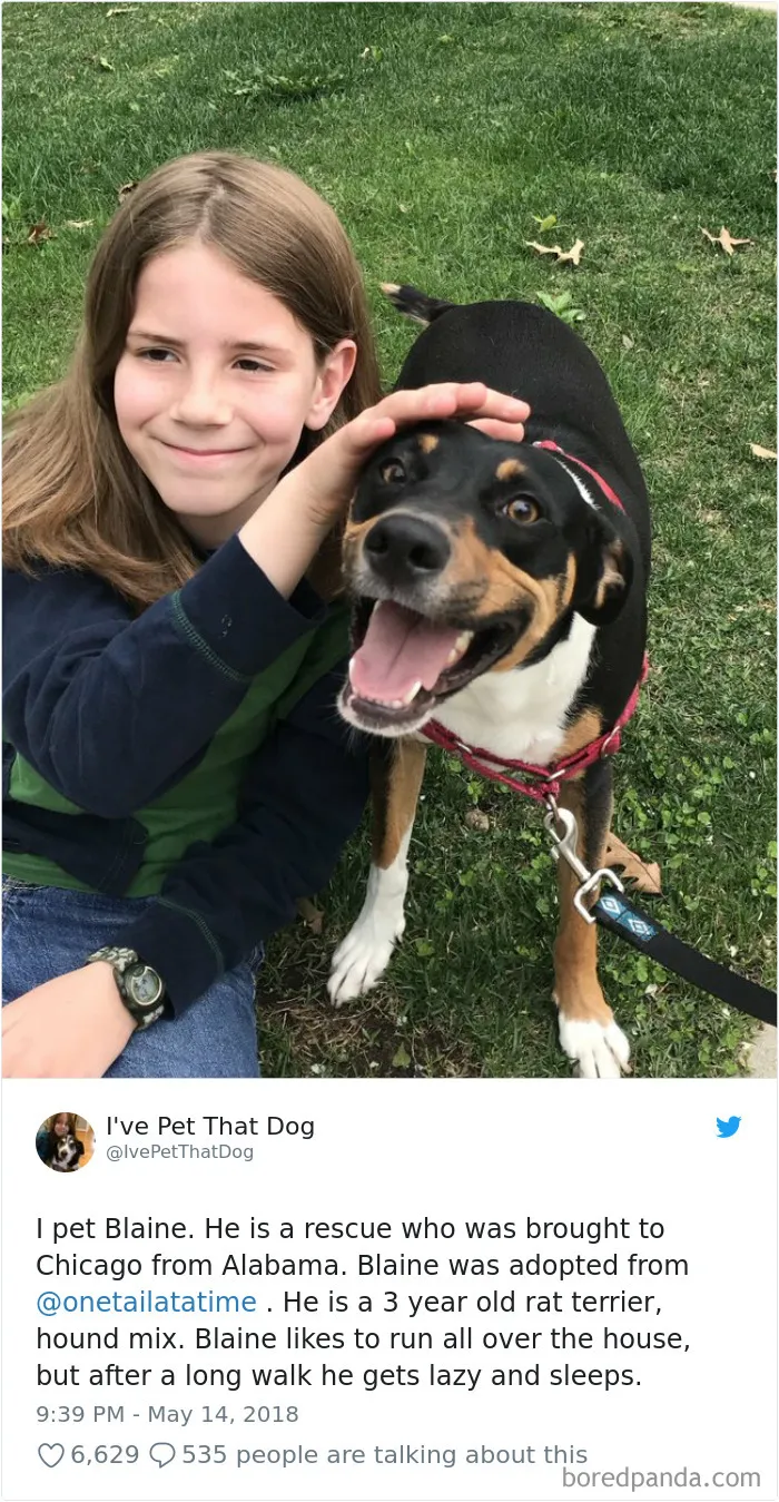The Internet Is Obsessed With This 9-Year-Old's Twitter Account Where He Reviews All The Dogs That He's Petted