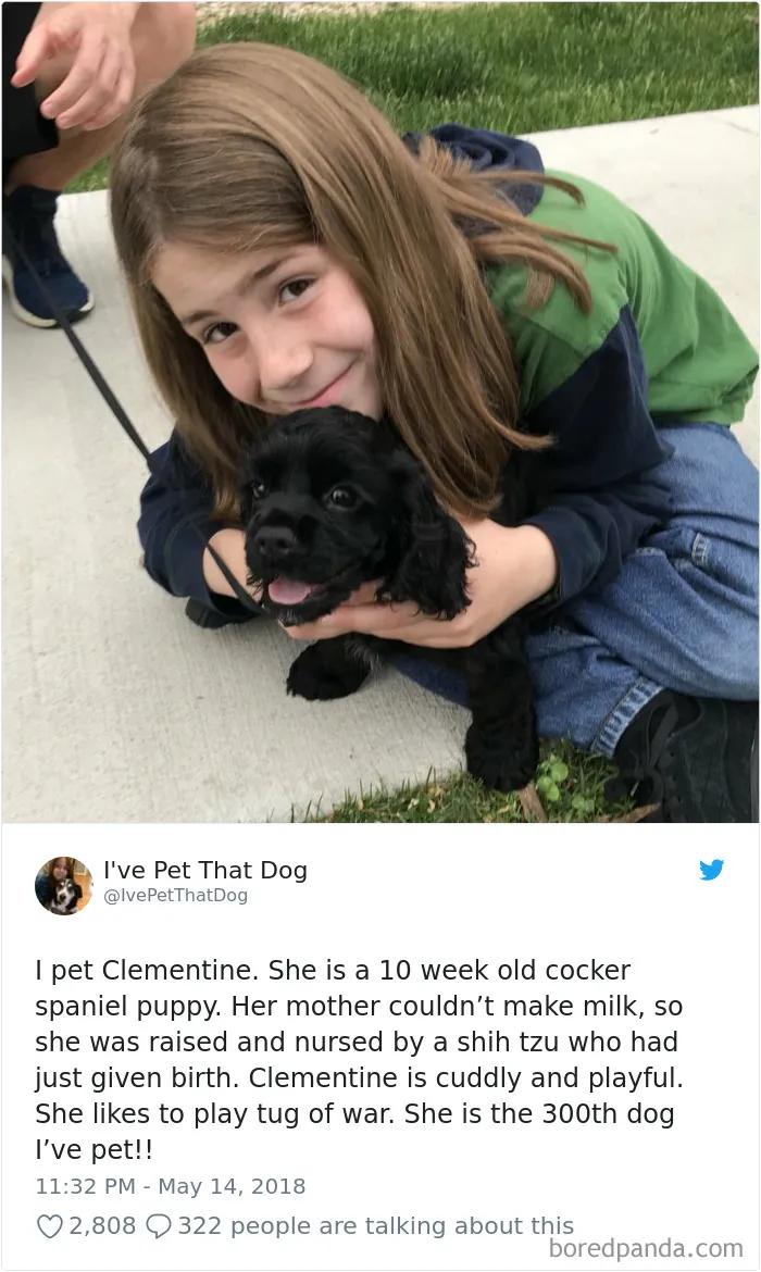 The Internet Is Obsessed With This 9-Year-Old's Twitter Account Where He Reviews All The Dogs That He's Petted