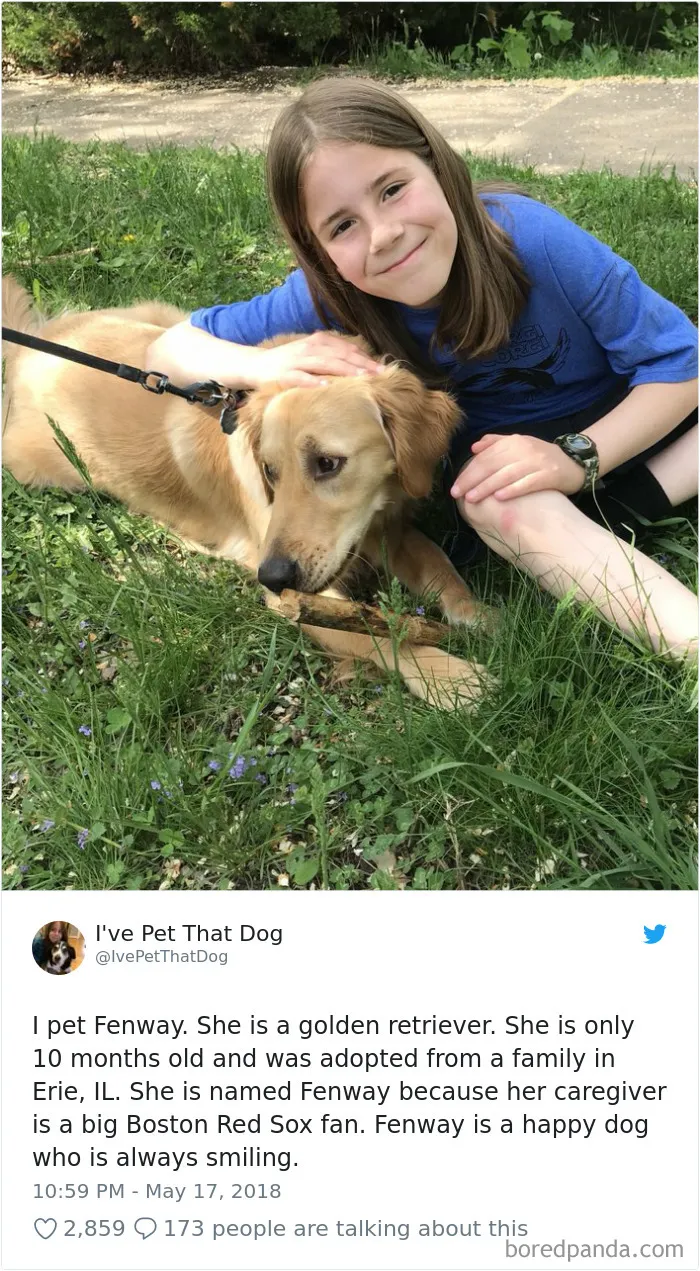 The Internet Is Obsessed With This 9-Year-Old's Twitter Account Where He Reviews All The Dogs That He's Petted