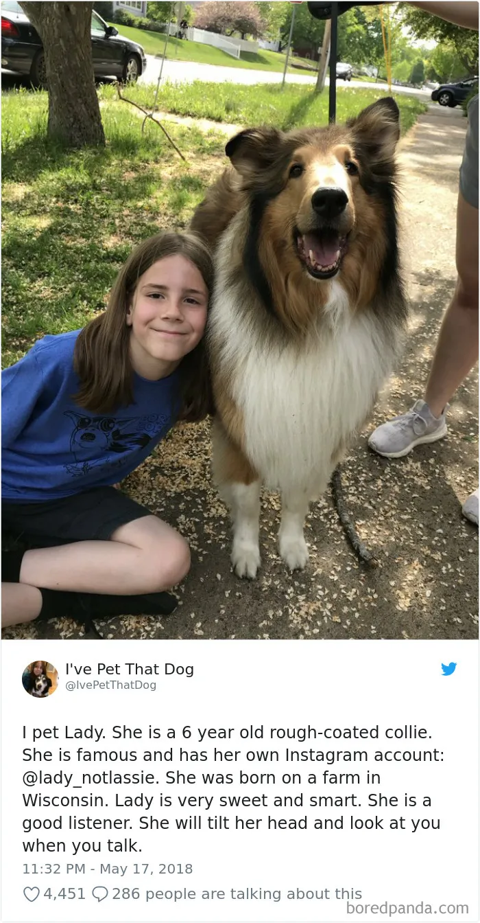 The Internet Is Obsessed With This 9-Year-Old's Twitter Account Where He Reviews All The Dogs That He's Petted