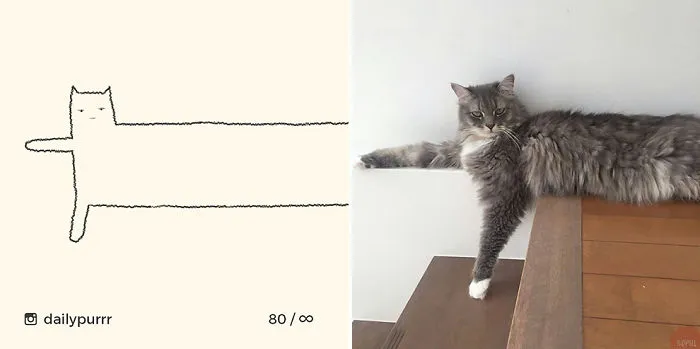 No, This Is Not Badly Done Drawing, But Rather Realistic Cat Drawings