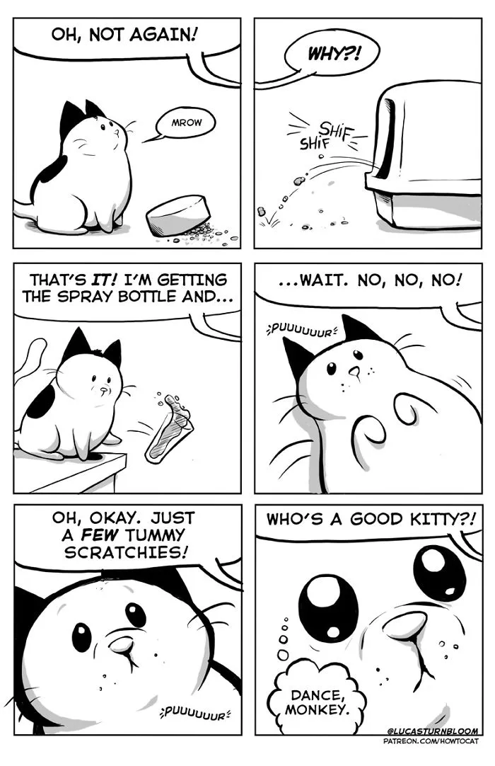 My Wife Insisted Me To Put These Comics On The Internet - They're About A Cat We Rescued A Few Months Ago