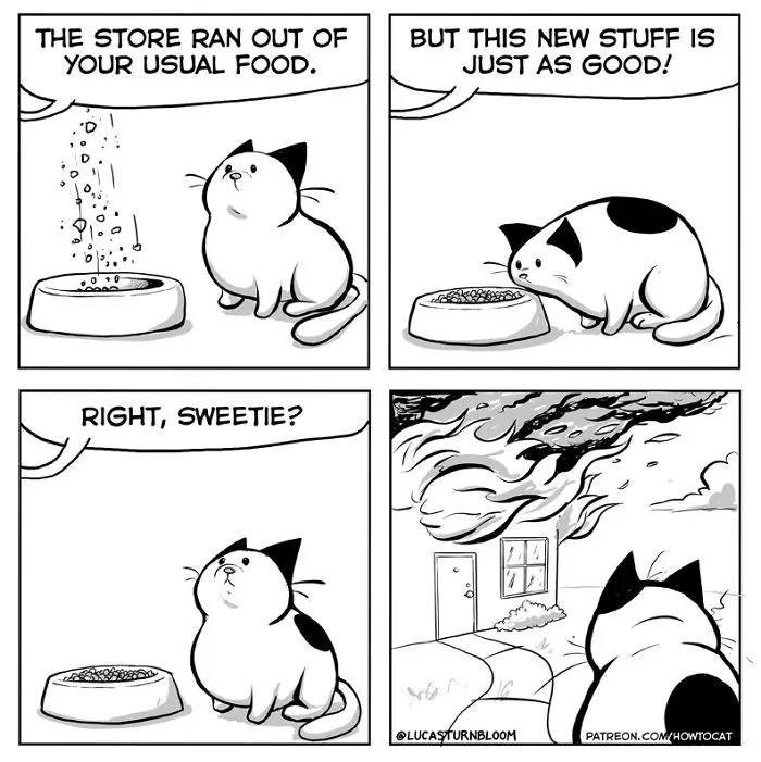 My Wife Insisted Me To Put These Comics On The Internet - They're About A Cat We Rescued A Few Months Ago