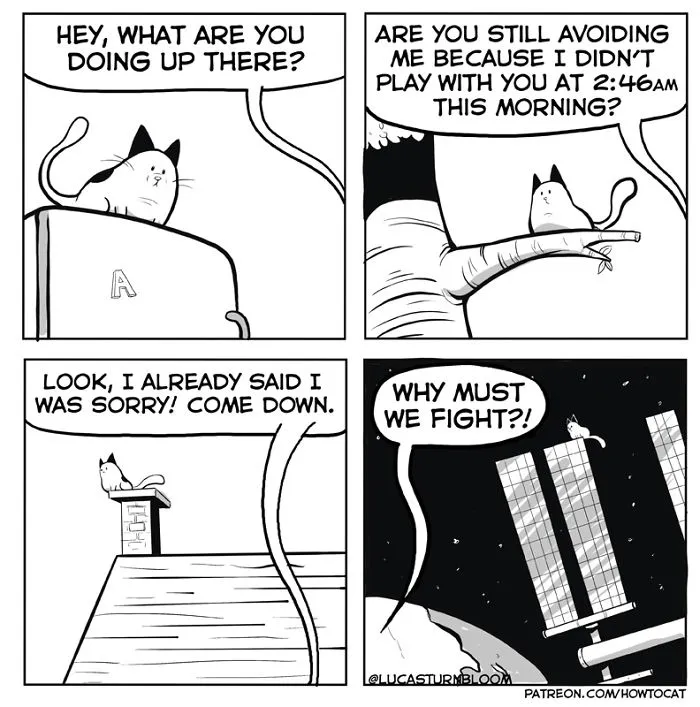 My Wife Insisted Me To Put These Comics On The Internet - They're About A Cat We Rescued A Few Months Ago