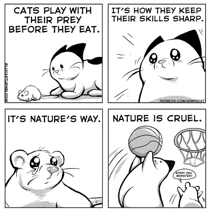 My Wife Insisted Me To Put These Comics On The Internet - They're About A Cat We Rescued A Few Months Ago