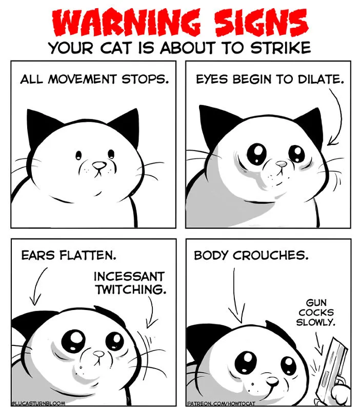 My Wife Insisted Me To Put These Comics On The Internet - They're About A Cat We Rescued A Few Months Ago