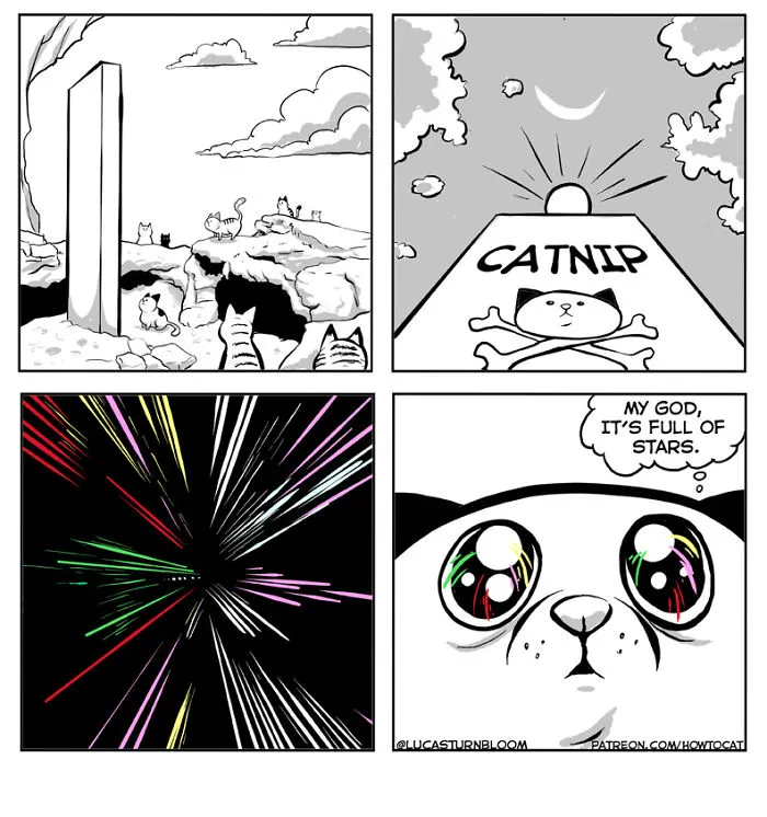 My Wife Insisted Me To Put These Comics On The Internet - They're About A Cat We Rescued A Few Months Ago