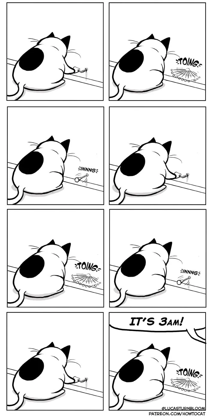 My Wife Insisted Me To Put These Comics On The Internet - They're About A Cat We Rescued A Few Months Ago