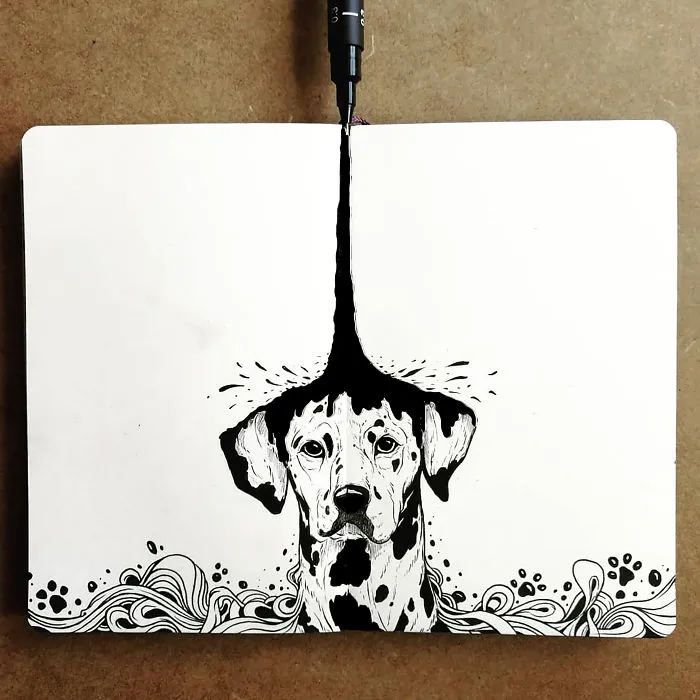 The Origin Of The Spots