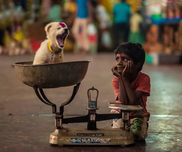 My Selection Of Fairy Tale-Like Photos Of Kids And Animals
