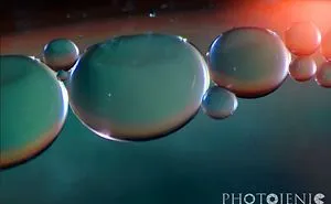 Oil And Water