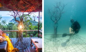 The Tree Of Life: I Created An Underwater Electrified Artificial Reef