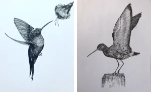 I Create Pen And Ink Drawings