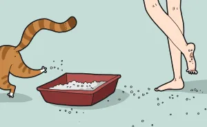 The Reality Of Having A Cat That I Captured In 29 Illustrations (New Pics)