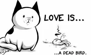 My Wife Insisted Me To Put These Comics On The Internet - They're About A Cat We Rescued A Few Months Ago