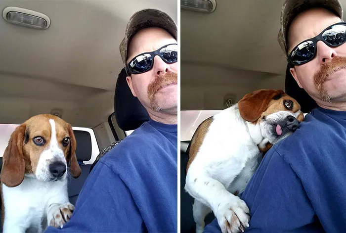 Este perro ha sido salvado de ser sacrificado, y así se lo agradece a su nuevo dueño