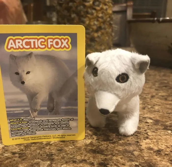 Mcdonald’s Happy Meal Toy
