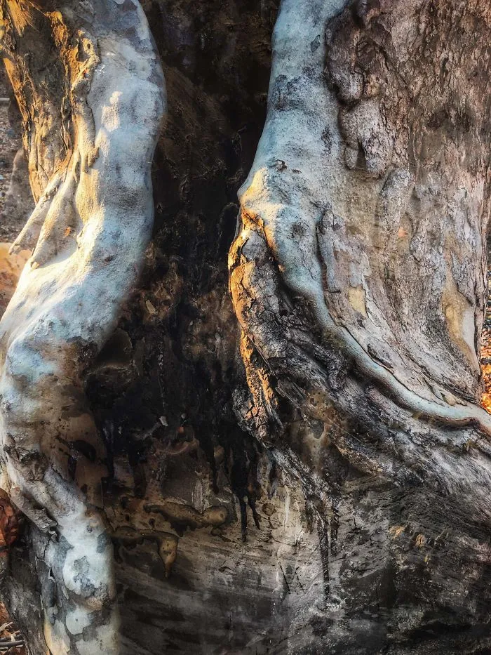 Artist Turns His Surrounding Environment From Abandoned Places And Small Abstract Details Into Elegance Pieces Of Art