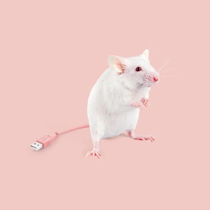 Artist Makes Incredible Manipulations That Will Surely Mess With Your Head