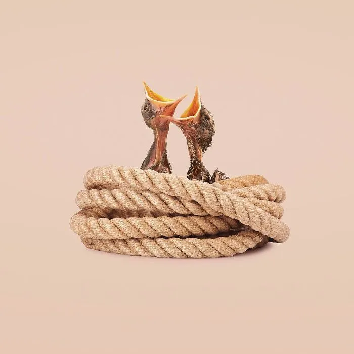 Artist Makes Incredible Manipulations That Will Surely Mess With Your Head