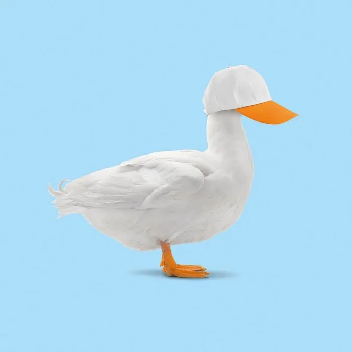 Artist Makes Incredible Manipulations That Will Surely Mess With Your Head