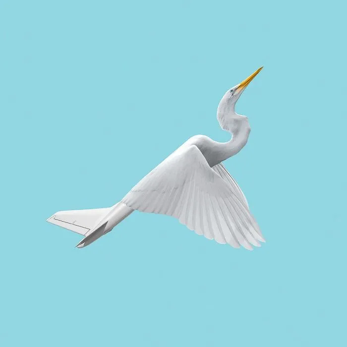 Artist Makes Incredible Manipulations That Will Surely Mess With Your Head