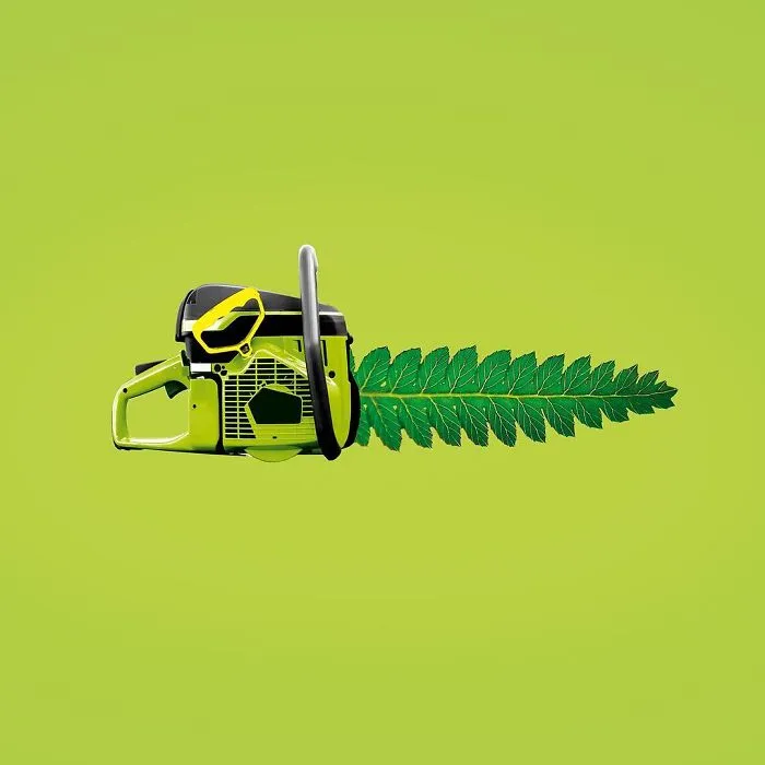 Artist Makes Incredible Manipulations That Will Surely Mess With Your Head