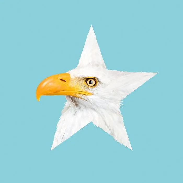 Artist Makes Incredible Manipulations That Will Surely Mess With Your Head