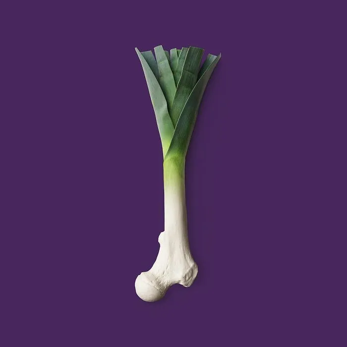 Artist Makes Incredible Manipulations That Will Surely Mess With Your Head