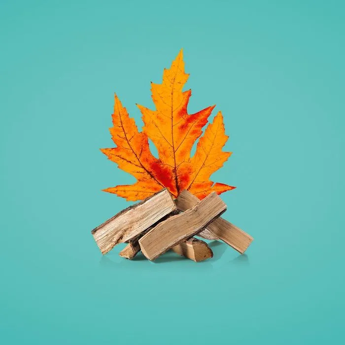 Artist Makes Incredible Manipulations That Will Surely Mess With Your Head