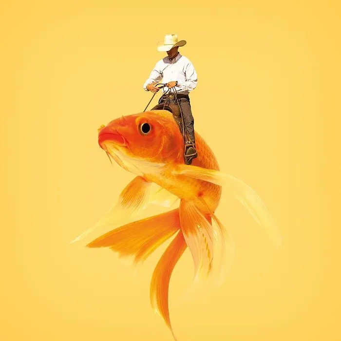 Artist Makes Incredible Manipulations That Will Surely Mess With Your Head
