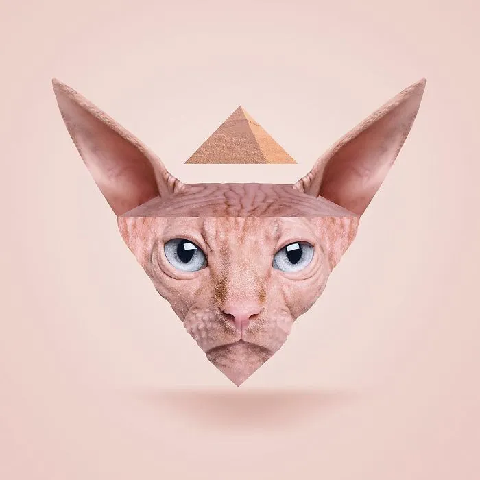Artist Makes Incredible Manipulations That Will Surely Mess With Your Head