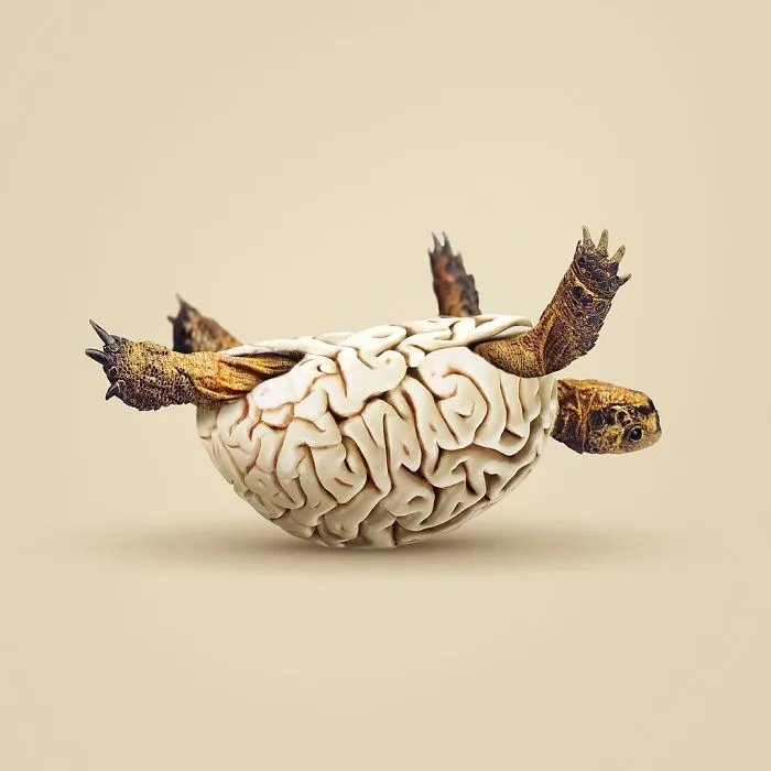 Artist Makes Incredible Manipulations That Will Surely Mess With Your Head