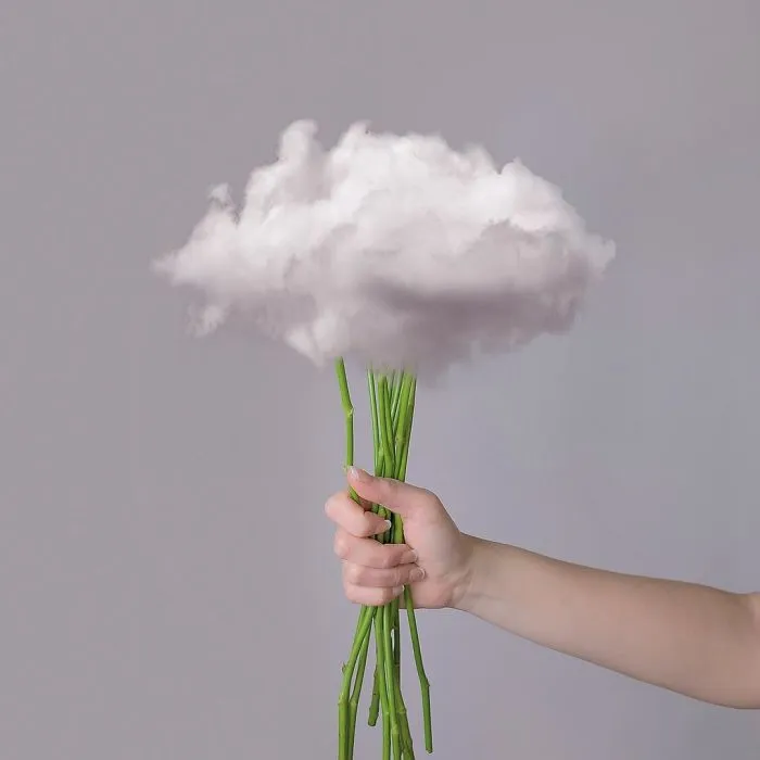 Artist Makes Incredible Manipulations That Will Surely Mess With Your Head