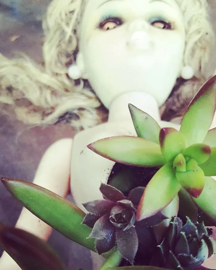 145 People Who Turned Old Dolls Into Planters And Scared The Hell Out Of Their Neighbors