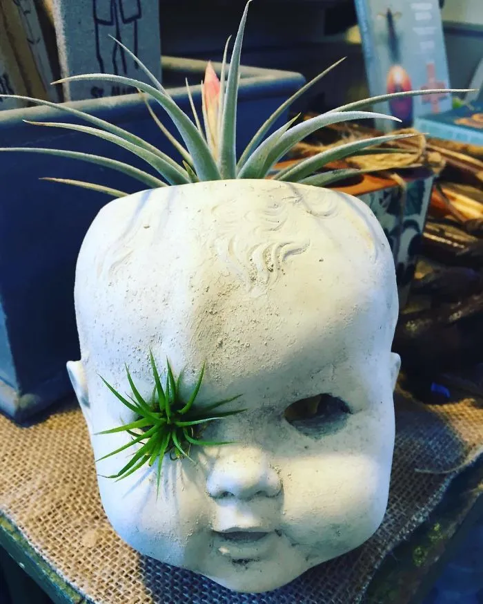 145 People Who Turned Old Dolls Into Planters And Scared The Hell Out Of Their Neighbors