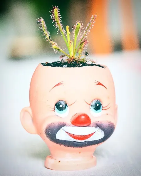 145 People Who Turned Old Dolls Into Planters And Scared The Hell Out Of Their Neighbors