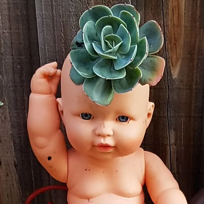 145 People Who Turned Old Dolls Into Planters And Scared The Hell Out Of Their Neighbors