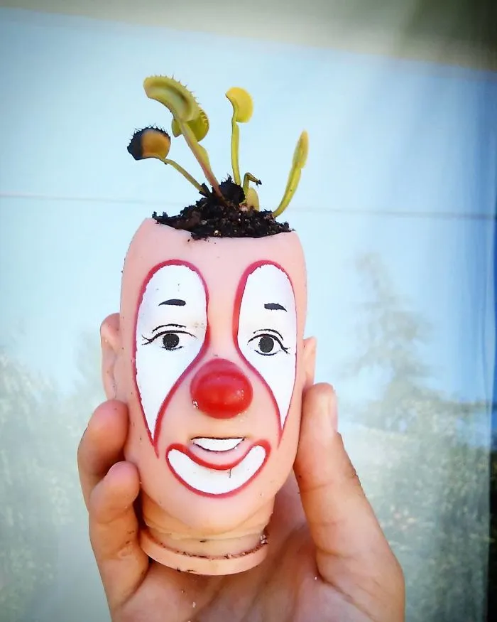 145 People Who Turned Old Dolls Into Planters And Scared The Hell Out Of Their Neighbors