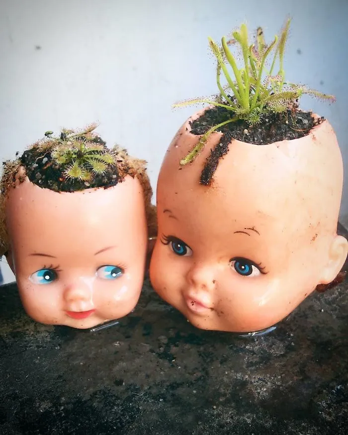 145 People Who Turned Old Dolls Into Planters And Scared The Hell Out Of Their Neighbors